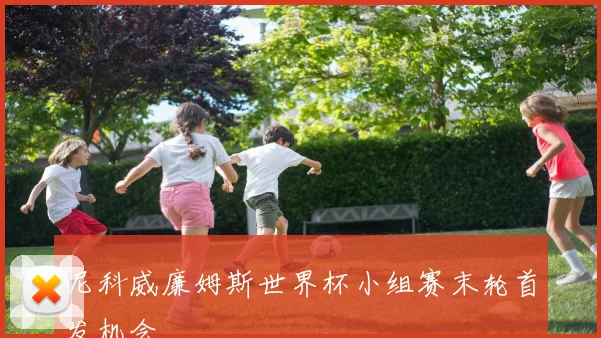 尼科威廉姆斯世界杯小组赛末轮首发机会