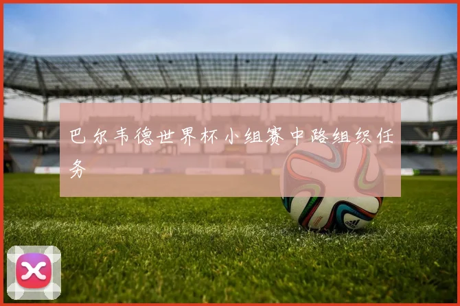 巴尔韦德世界杯小组赛中路组织任务