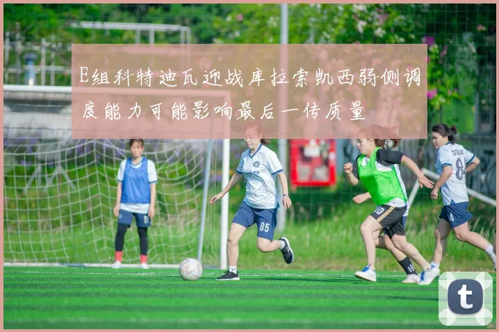 E组科特迪瓦迎战库拉索凯西弱侧调度能力可能影响最后一传质量