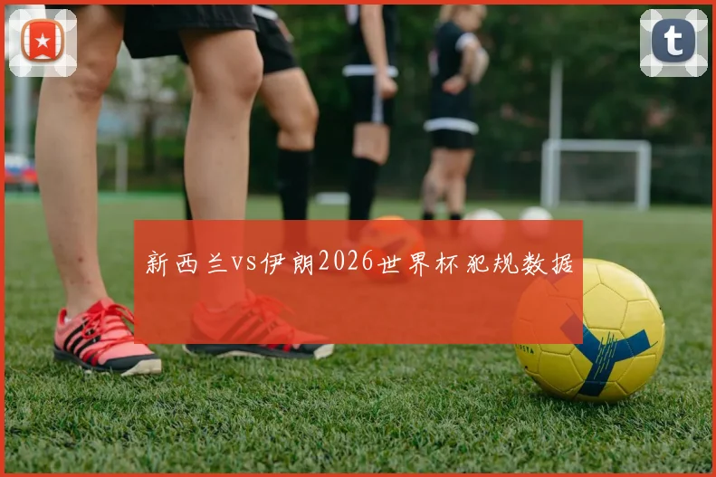 新西兰vs伊朗2026世界杯犯规数据