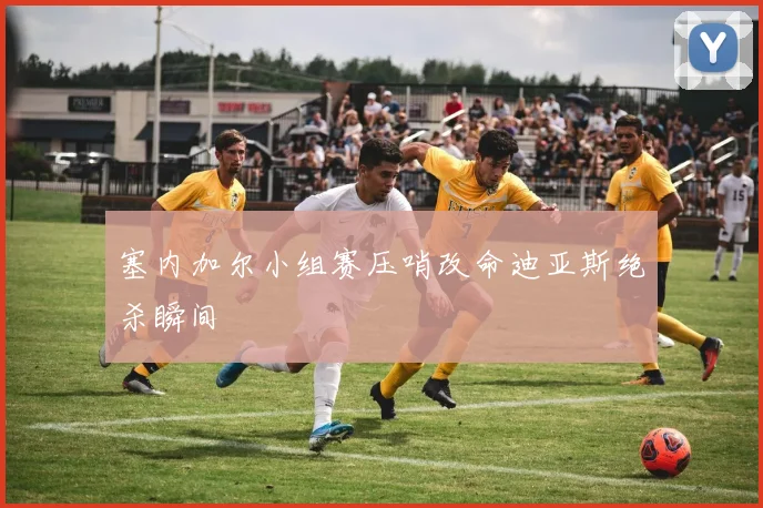 塞内加尔小组赛压哨改命迪亚斯绝杀瞬间