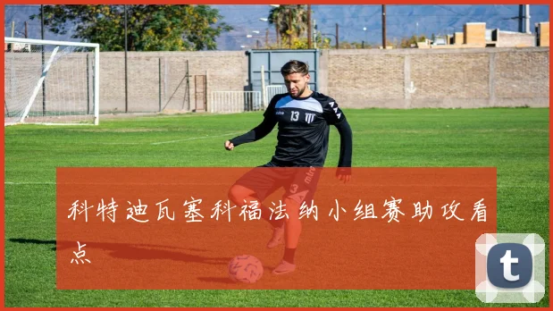 科特迪瓦塞科福法纳小组赛助攻看点